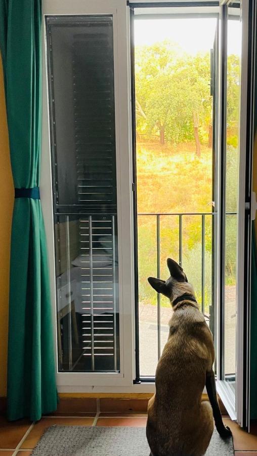 Casa Rural Una Ventana A La Montana Aracena Esterno foto